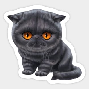 Cat-a-clysm exotic shorthair kitten Sticker